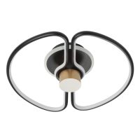 312012501 Толедо 55W LED 220 V люстра