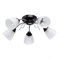 Люстра Нежность 5*40W E14 220 V (676015005)