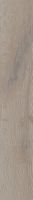 Ламинат Floorwood Balance AC5/33 2695-1 Дуб Регли (8 мм)