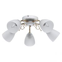 Люстра Нежность 5*40W E14 220 V (676014905)