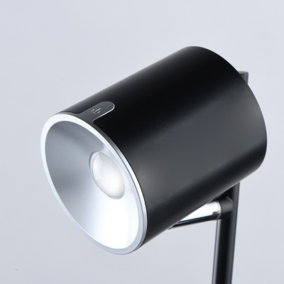 Настольная лампа Эдгар 6.5W LED 220 V (408032401)