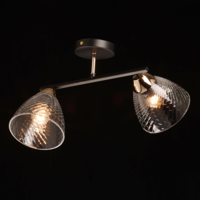 Люстра Дэла 2*40W E27 220 V (635017402)