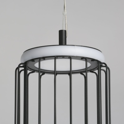 655010901 Айсфельд 1*24W LED 220 V люстра
