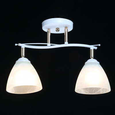 Люстра Нежность 2*40W E27 220 V (676013502)