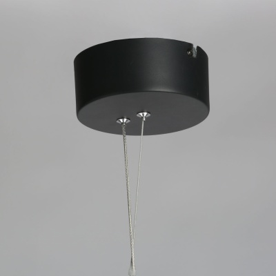 655010901 Айсфельд 1*24W LED 220 V люстра