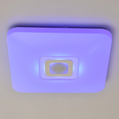 Люстра Норден 36W LED 220 V Bluetooth+Speaker box+Smartphone control (660012401)