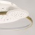 Люстра (пульт) Оскар 2*47W LED 220 V (510012903)