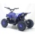 Квадроцикл ATV-2E 36V1000W Синий (Blue)