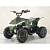 Квадроцикл ATV-2E 36V1000W Камуфляж (Camufiage Green)