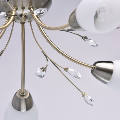 Люстра Нежность 5*60W E14 220 V (356012905)