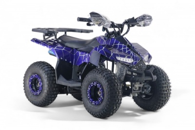 Детский квадроцикл LEON 49CC синий спайдер