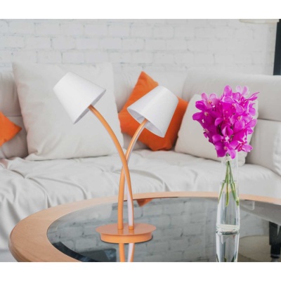 Настольная лампа Аэлита 2*6W LED 220 V (480033002)