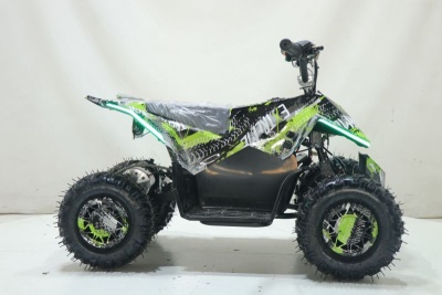 Квадроцикл ATV-2E 36V1000W Зеленый (Treme Green 5)