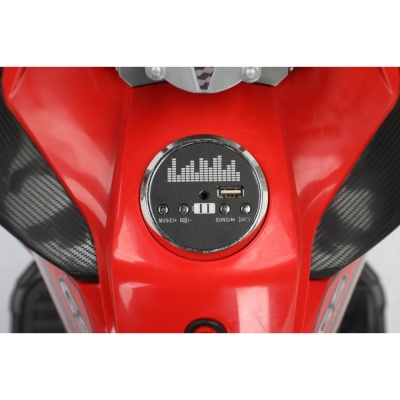 Мотоцикл Moto BMW R 1250 7712 Красный