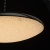 Люстра Перегрина 10W LED 220 V (703011201) Люстра Перегрина 10W LED 220 V (703011201)