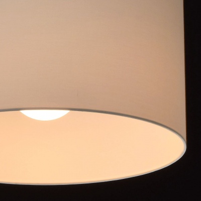 Люстра Райне 2*60W E27 220 V (494012102)