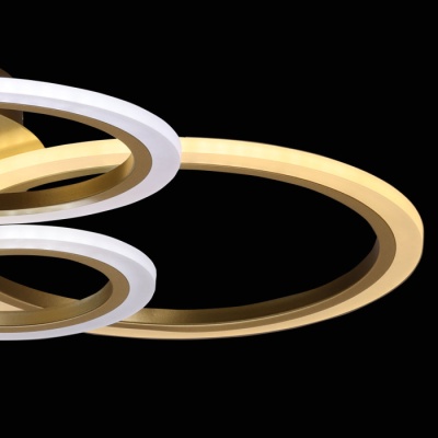 Люстра (пульт) Оскар 66W LED 220 V (510012706)