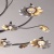 Люстра Адриатика 53W LED 220 V (280011517)