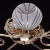 Люстра Фиеста 5*60W E14 220 V (267012005)