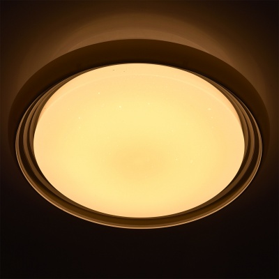Люстра (пульт) Ривз 50W LED 220 V ( (674011901)