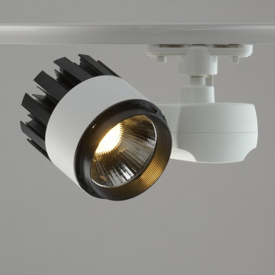 Трек-Светильник 1*30W LED 220 V (550010901)