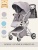Коляска детская Aimile Summer Original (Pearl) (Капучино ASP-2) Коляска детская Aimile Summer Original (Pearl) (Капучино ASP-2)