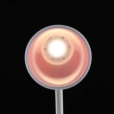 Настольная лампа Ракурс 4,2W LED 220 V (631036201)