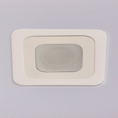 Люстра Норден 36W LED 220 V Bluetooth+Speaker box+Smartphone control (660012401)