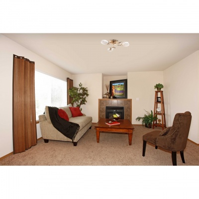 Люстра Фиеста 3*60W E14 220 V (267012803)