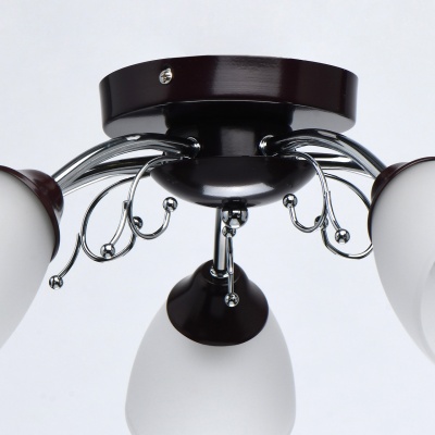 Люстра Нежность 5*40W E14 220 V (676015005)