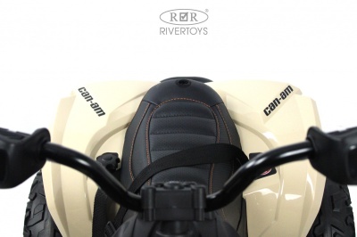 Детский электроквадроцикл BRP Can-Am Renegade (Y333YY) хаки
