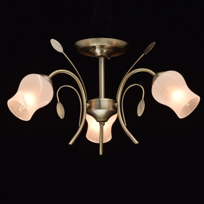 Люстра Флора 3*60W E14 220 V (256018103)