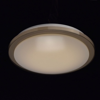 Люстра (пульт) Ривз 50W LED 220 V (674012601)