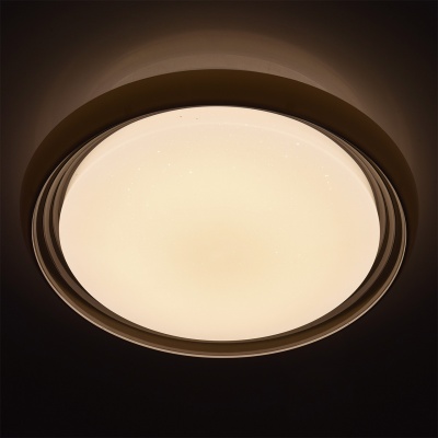 Люстра (пульт) Ривз 50W LED 220 V ( (674011901)