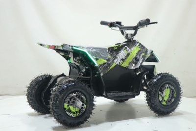 Квадроцикл ATV-2E 36V1000W Зеленый (Treme Green 5)