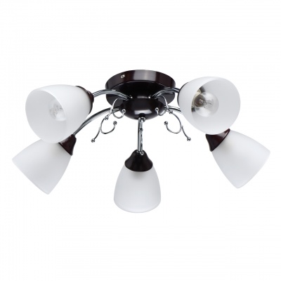 Люстра Нежность 5*40W E14 220 V (676015005)