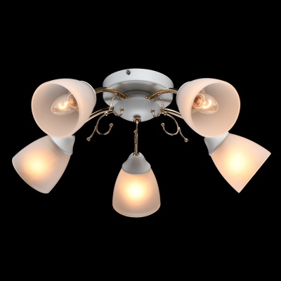 Люстра Нежность 5*40W E14 220 V (676014905)