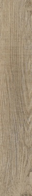 Ламинат Floorwood Balance AC5/33 1810-1 Дуб Фавикон (8 мм)