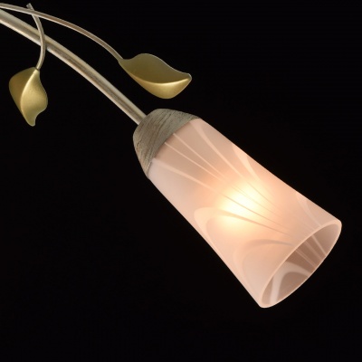 Люстра Восторг 6*60W E14 220 V (242015306)