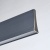 Люстра Ральф 1*40W+2*5W LED 220 V (675013503) Люстра Ральф 1*40W+2*5W LED 220 V (675013503)