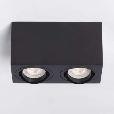Светильник Прайм 2*50W GU10 220 V (850011402)
