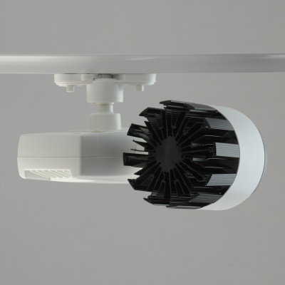 Трек-Светильник 1*30W LED 220 V (550010901)