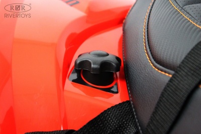 Детский электроквадроцикл BRP Can-Am Renegade (Y333YY) красный