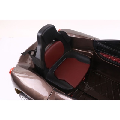 Автомобиль Aston Martin FLSeat YHF3913 Коричневый краска