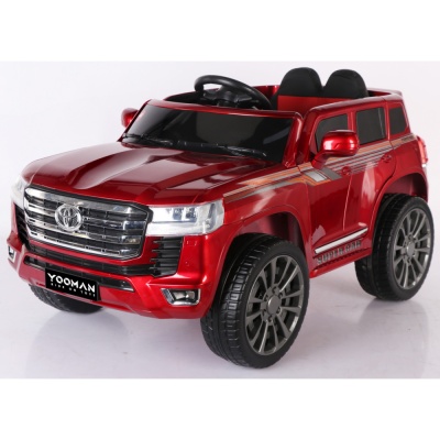 Джип Toyota LC300 3818 Бордо краска
