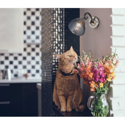 Бра Лавиния 1*60W Е14 (443021901)